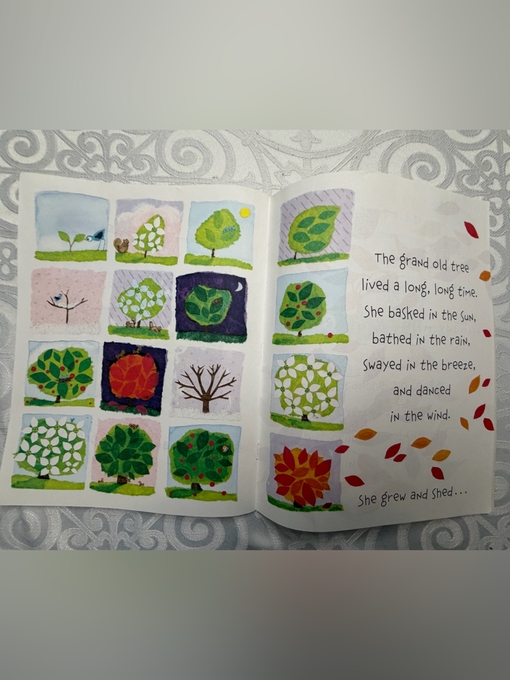 Scholastic A Grand Old Tree Children’s Picture Book - Picture 3 of 4